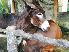 -广东省拱北口岸中国旅行社(华宾营业部)