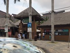 -亚马逊丛林水乐园