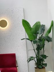 -JUNO hair salon