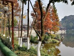 -重庆彩云湖湿地公园