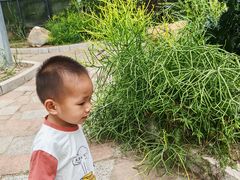 -广东茂名森林公园