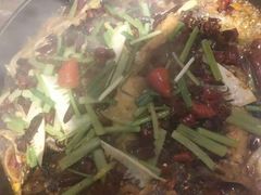 老板恋上鱼-老板恋上鱼(高新万达店)