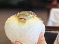 -永安鱼庄·镇江菜(东吴路店)