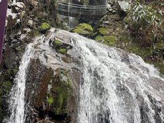 -藏龙百瀑风景区