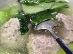 -丁老爷子苏香圆