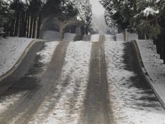 -秦始皇帝陵博物院-丽山园