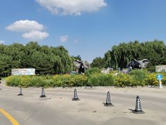 -北京野生动物园