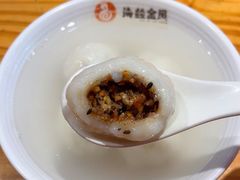 -海丝金凤(金鱼店)