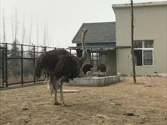 -宿豫区运河湾森林动物园