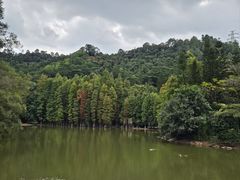 -滴水岩森林公园