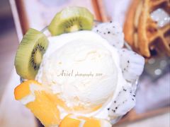 -猫的天空之城概念书店(印象城购物中心店)