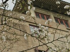 -武汉大学-樱园