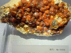 -湖南省地质博物馆