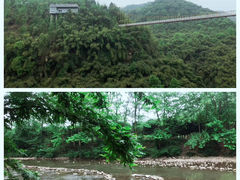 -川西竹海景区