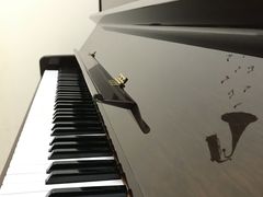 -谈·PIANO(金唐新光界店)