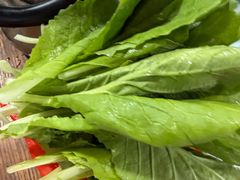 -钰洁腊排骨火锅