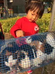 -萌宠亲子动物乐园(槐房万达店)