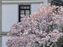 -烟台山景区