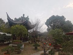 -万景茶庄·台州菜