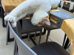 -大悦城(沈阳中街店)