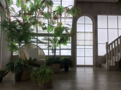 点击看大图 -芳妮豆丁家庭影像馆(宝安店)