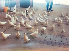 -王府井奥莱临潼小镇(临潼店)