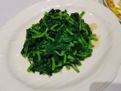 鸡油豆苗-禧宴Joyous Restaurant(禧园店)