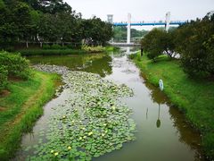 -东莞植物园