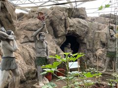 -上海都市菜园