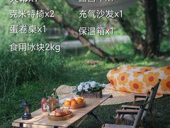 -上海共青森林公园