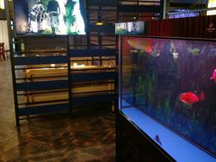 面包甜点陈列柜-马仕玖煲·融合菜·酥不腻烤鸭(人大店)