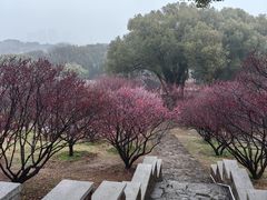 -无锡梅园公园