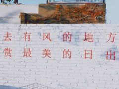 -云里小坐·小院里·团建·宴请·下午茶(三圣乡店)
