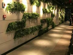 -威尔仕健身·游泳(中港汇店)