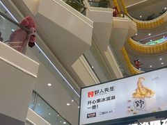 -野人先生Gelato(上海长宁龙之梦店)