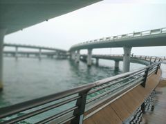 -演武大桥观景平台