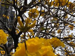 -宜宾海鲜酒家·三十年老字号