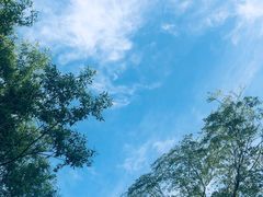 -棋盘山风景区