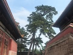 -普乐寺