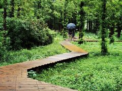 -国家植物园南园