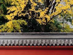 -成都市文殊院