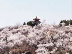 -白水寺森林公园