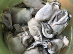 炸生蚝-蚝乡农庄(铁涌赤岸店)