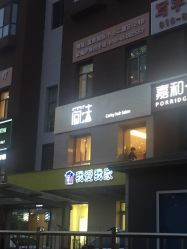 -THE LOG SALON 记录