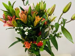 -双季花艺园艺市场(浦东店)