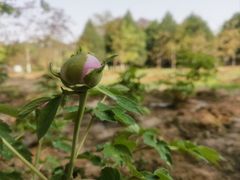 -南海子公园