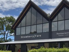 -Strawberry Fare