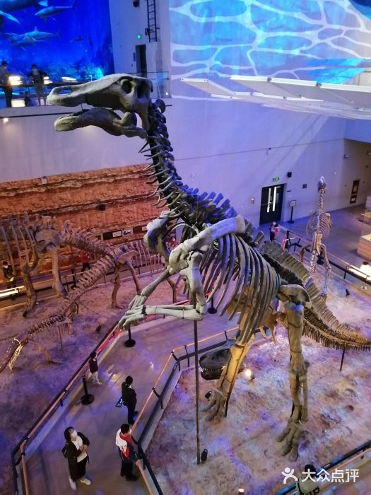 广东省博物馆图片