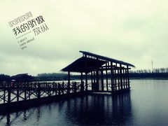 -溱湖国家湿地公园