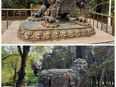 -北京动物园
